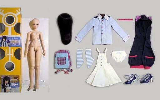駿河屋 -<中古>ルリ 「放課後秋葉原ガールズ」 DD / ドルフィー