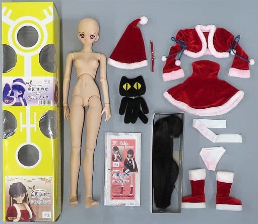 人気新品 稀少品 デッドストック 未使用品 ドルフィードリーム 白河
