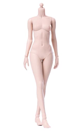 駿河屋 -<新品/中古>1/6 スーパーフレキシブル女性素体 シームレス