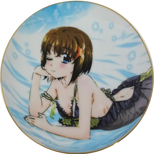 駿河屋 -<中古>八神はやて イラストプレート 「魔法少女リリカルなのは