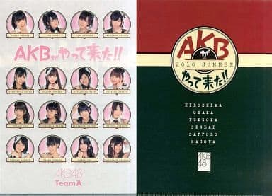 駿河屋 -<中古>チームA(AKB48) A4クリアファイル 「AKBがやって来た