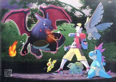 ポケモン ひかるリザードン A4クリアファイル 光るポケモンとの遭遇