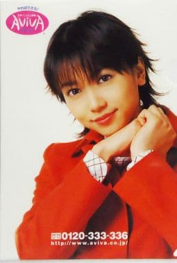 駿河屋 中古 遠藤久美子 クリアファイル 日本パソコン学院アビバ ノベルティグッズ クリアファイル