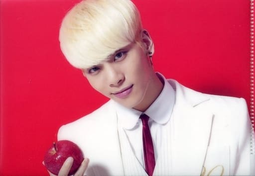 ご注意ください SHINee ジョンヒョン base クリアファイル Lフォルダ