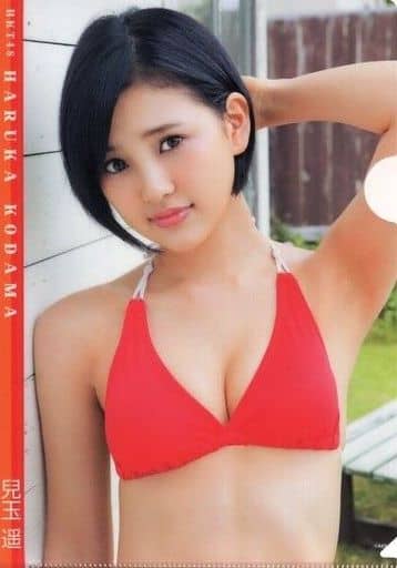 ヤングアニマル 2015年No.4 グラビア切り抜き HKT48 兒玉遥 森保