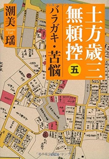 駿河屋 中古 土方歳三無頼控 5 バラガキ 苦悩 潮美瑶 小説