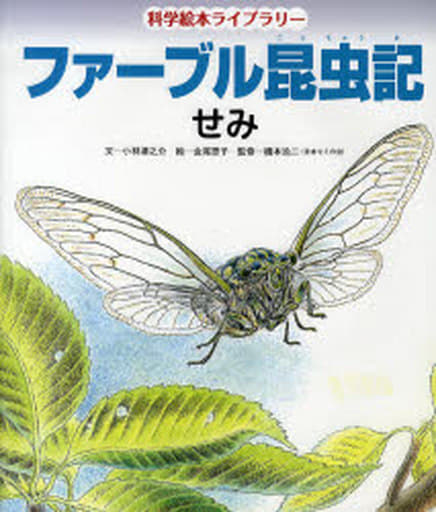 駿河屋 買取 絵本 ファーブル昆虫記 せみ 絵本