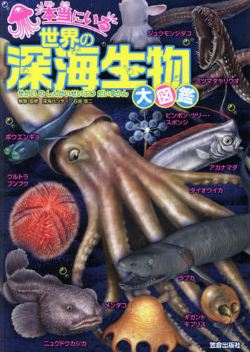 駿河屋 中古 動物学 本当にいる世界の深海生物大図鑑 動物学