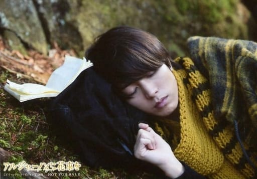 駿河屋 - 【買取】山下智久(白鳥咲人)/横型・バストアップ・寝そべり