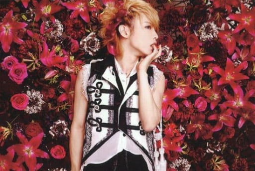 駿河屋 -u003c中古u003eAlice Nine(A9)/ヒロト/横型・上半身・衣装白・黒・左手