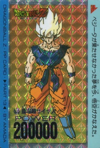 ドラゴンボール PPカード NO.510 登場超サイヤ人 www.krzysztofbialy.com