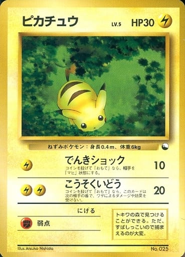 ☆PSA10 ピカチュウ LV.5 旧裏 025 拡張シート青 ポケモンカード