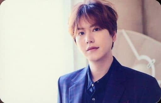 駿河屋 -<中古>SUPER JUNIOR/キュヒョン(KYUHYUN)/横型・衣装青・両手