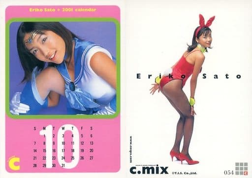 駿河屋 -<中古>054 ： 佐藤江梨子/レギュラーカード/IDOL TRADING CARD