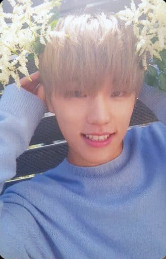 駿河屋 -<中古>SEVENTEEN/DINO(ディノ)/2ND ALBUM『TEEN, AGE』(WHITE 駿河屋 -<中古>SEVENTEEN/DINO(ディノ)/2ND ALBUM『TEEN, AGE』(WHITE