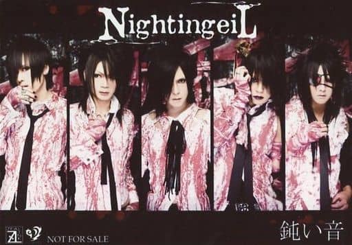 【レア】Nightingeil-ナイチンゲイル【貴重盤】CDやDVD6点&特典