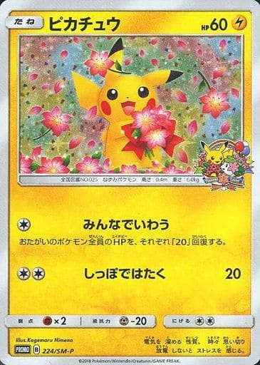 ポケモンカード みんなでいわう ピカチュウ | www.bonitaexclusive.com