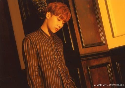 駿河屋 -<中古>INFINITE/SungKyu(ソンギュ)/CD「TOP SEED」FC限定特典