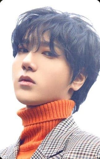 駿河屋 -<中古>SUPER JUNIOR/イェソン(YESUNG)/衣装オレンジ・左向き ...