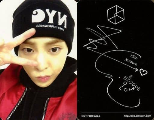 国交省東北地方整備局 exo トレカ シウミン カード xiumin メリシュオ