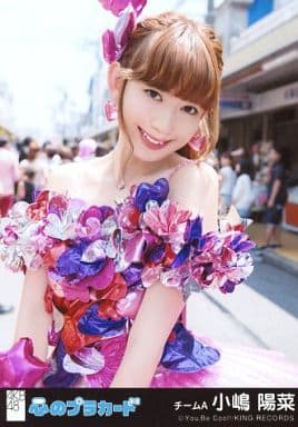 駿河屋 -<中古>小嶋陽菜/CD「心のプラカード」劇場盤特典(女性生写真) 駿河屋 -<中古>小嶋陽菜/CD「心のプラカード」劇場盤特典(女性生写真)