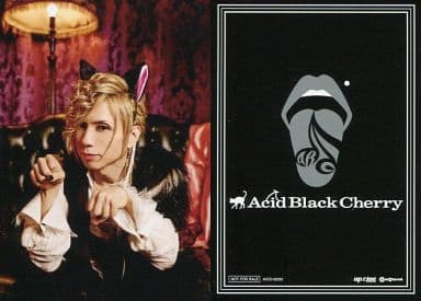 駿河屋 中古 Acid Black Cherry Yasu Cd 黒猫 Adult Black Cat 特典トレカ 男性コレクションカード