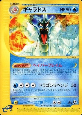 枚数限定 ポケモンカード ギャラドス e | kinderpartys.at