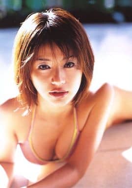 駿河屋 中古 井川遥 水着ピンク うつ伏せ 両手前 ヤングマガジン特典 女性生写真 駿河屋 中古 井川遥 水着ピンク うつ伏せ 両手前 ヤングマガジン特典 女性生写真