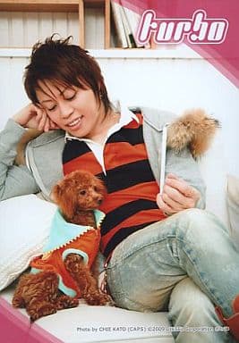 駿河屋 中古 T M Revolution 西川貴教 膝上 足組み 衣装グレーファー付き インナーボーダー赤黒 犬 枠ピンク Turbo 公式ブロマイド 男性生写真 駿河屋 中古 T M Revolution 西川貴教 膝上 足組み 衣装グレーファー付き インナーボーダー赤黒 犬 枠ピンク Turbo 公式ブロマイド 男性生写真