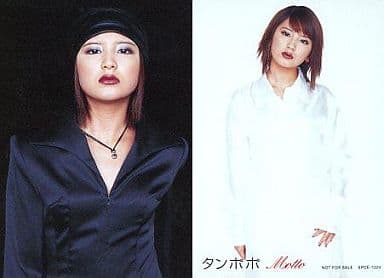 駿河屋 -<中古>タンポポ/矢口真里/CD「Motto」特典トレカ(ハロプロ)