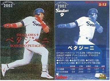 駿河屋 -<中古>S-13:ペタジーニ(スポーツ)