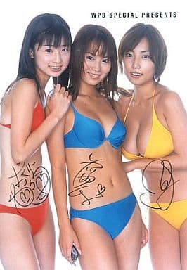 駿河屋 中古 小倉優子 市川由衣 Megumi サイン入り 水着 Wpb Special Presents 女性生写真