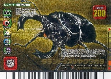 ムシキング カード タランドゥスツヤクワガタ キラ 029-