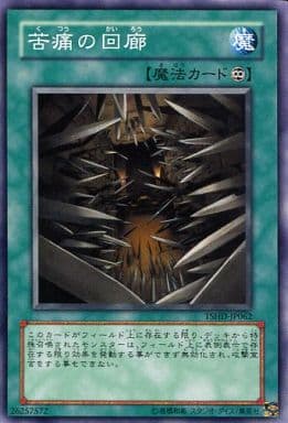 駿河屋 -<中古>TSHD-JP062[NR]：苦痛の回廊（ザ・シャイニング