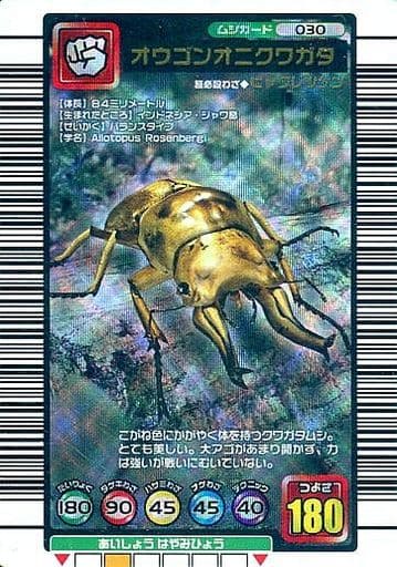2023人気 SEGA タランドゥスツヤクワガタの通販 by バビーナイト's