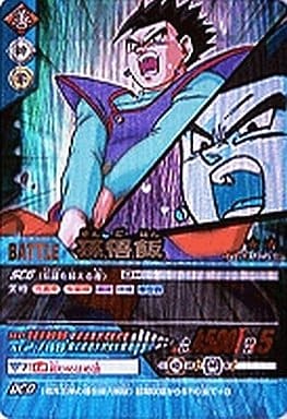 駿河屋 -<中古>052-II[爆レア ]：孫悟飯（DBZデータカードダス）