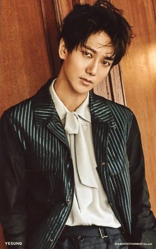 駿河屋 -<中古>SUPER JUNIOR/イェソン(YESUNG)/上半身・衣装緑・白 駿河屋 -<中古>SUPER JUNIOR/イェソン(YESUNG)/上半身・衣装緑・白