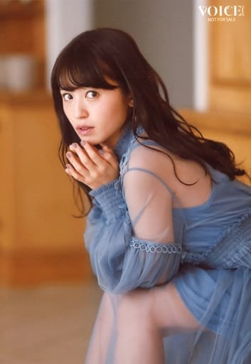 駿河屋 -<中古>逢田梨香子/雑誌「VOICE CHANNEL VOL.7」アニメイト特典