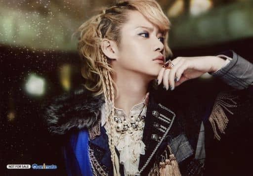 アイボリー×レッド パンフレット The Brow Beat 佐藤流司 写真集