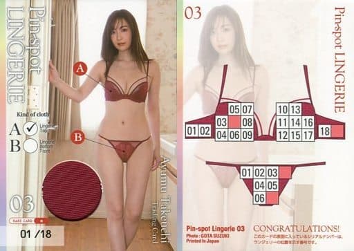竹内渉　トレーディングカード　PINSPOT lingerie 9/14 良部