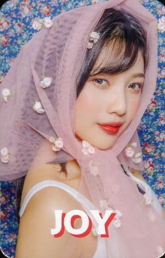パネル red velvet sappy ジョイ トレカ | paraglidingequipment.com