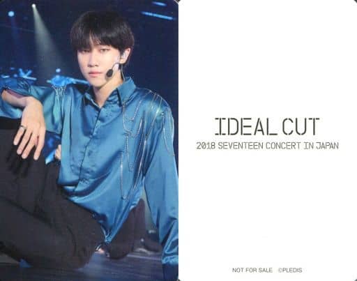 駿河屋 -<中古>SEVENTEEN/THE 8(ディエイト)/DVD・BD「IDEAL CUT 2018