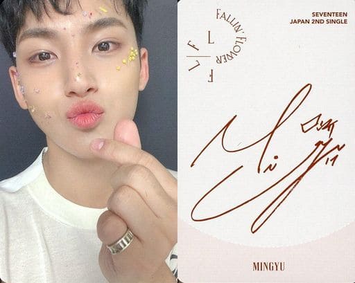 駿河屋 -<中古>SEVENTEEN/MINGYU(ミンギュ)/裏面赤・印刷サイン入り/CD 駿河屋 -<中古>SEVENTEEN/MINGYU(ミンギュ)/裏面赤・印刷サイン入り/CD
