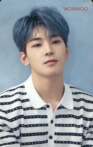 駿河屋 -<中古>SEVENTEEN/WONWOO(ウォヌ)/背景青/CD「JAPAN 2ND SINGLE 駿河屋 -<中古>SEVENTEEN/WONWOO(ウォヌ)/背景青/CD「JAPAN 2ND SINGLE