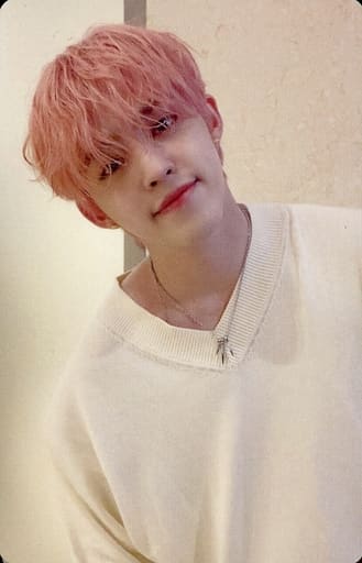 駿河屋 -<中古>SEVENTEEN/S.COUPS(エスクプス)/裏面青・白・文字水色