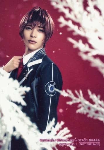 駿河屋 -<中古>坪倉康晴(土萌羊)/キャラクターショット/DVD「『Starry