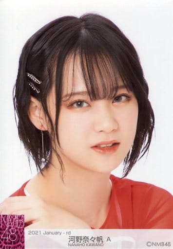 駿河屋 -<中古>A:河野奈々帆/2021 January-rd ランダム生写真(女性生