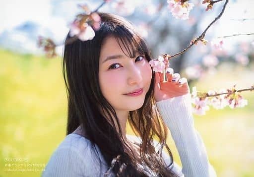 Amamiya Sora wearing a white long-sleeved top, smiling and holding a cherry blossom flower to her face