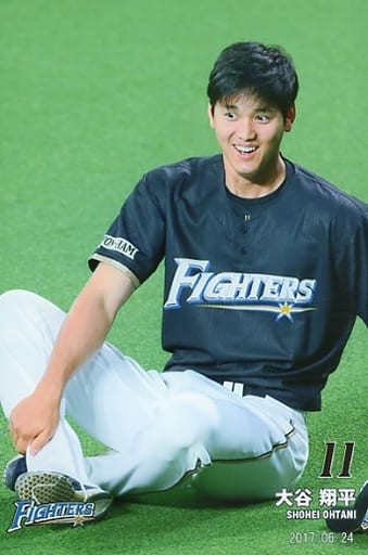 大谷翔平 2016 ハイライトフォト No.102 日本ハム 球団公式写真