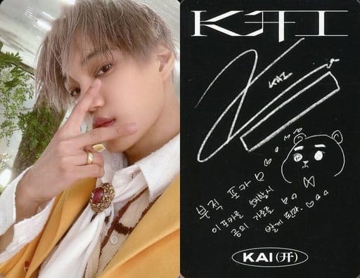 駿河屋 -<中古>EXO/カイ(KAI)/裏面印刷サイン入り/CD「1st Mini Album